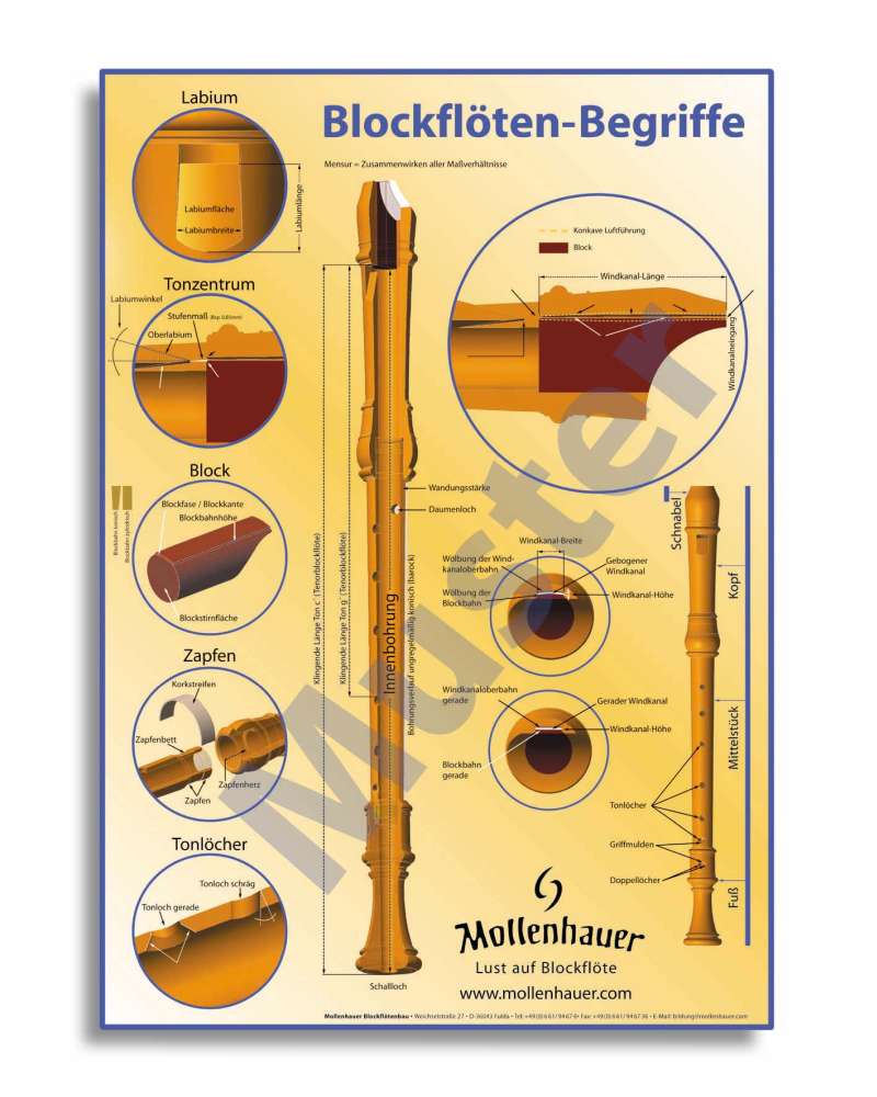 Mollenhauer, Blockflötenposter "Begriffe"